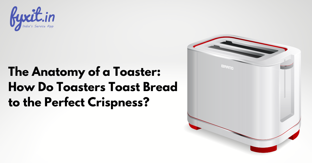 The Anatomy of a Toaster How Do Toasters Toast Bread to the Perfect Crispness