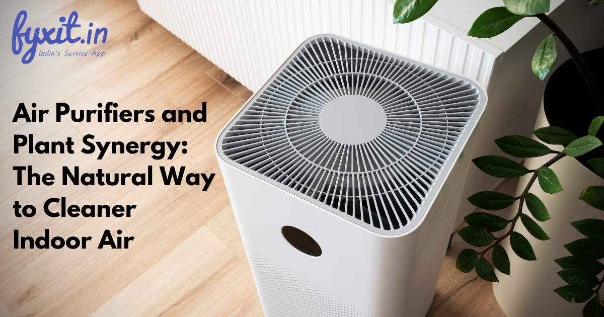 Air Purifiers and Plant Synergy: The Natural Way to Cleaner Indoor Air